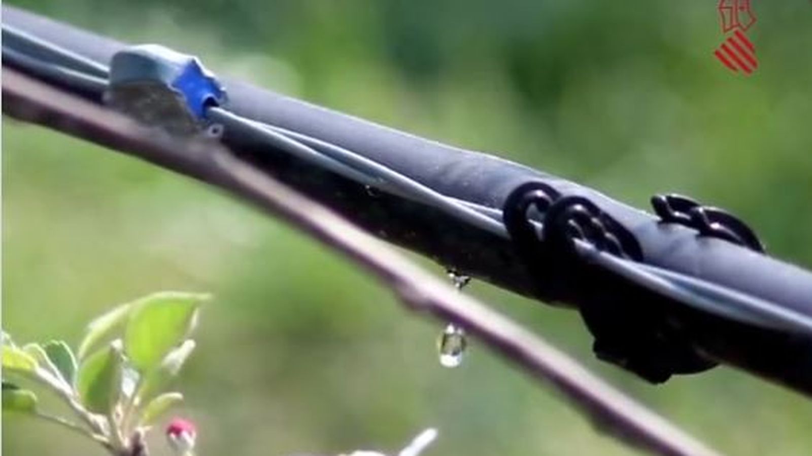 Imatge de la campanya en defensa del trasvassament Tajo-Segura