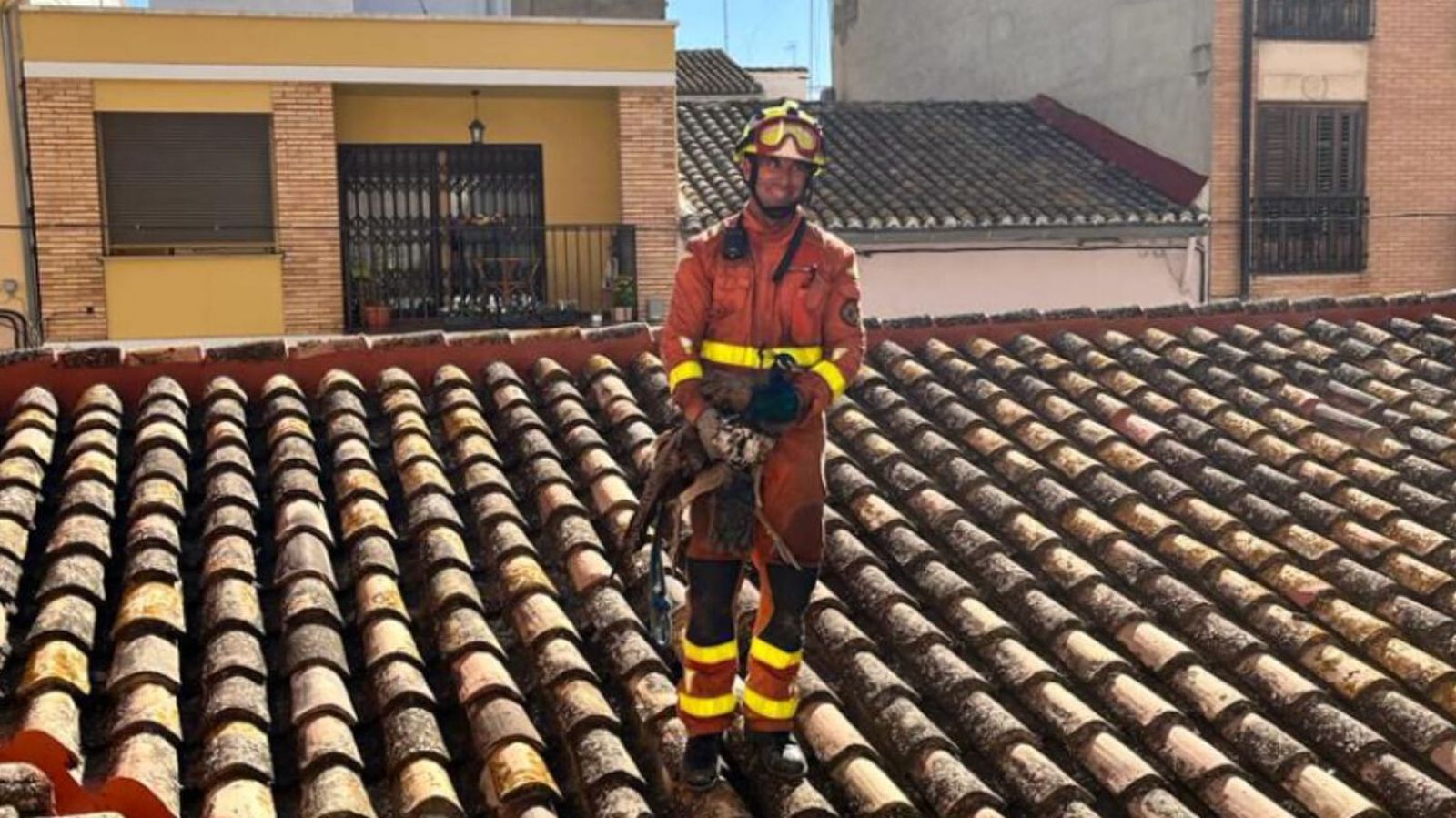 Un efectiu de bombers posa amb un dels paons rescatat