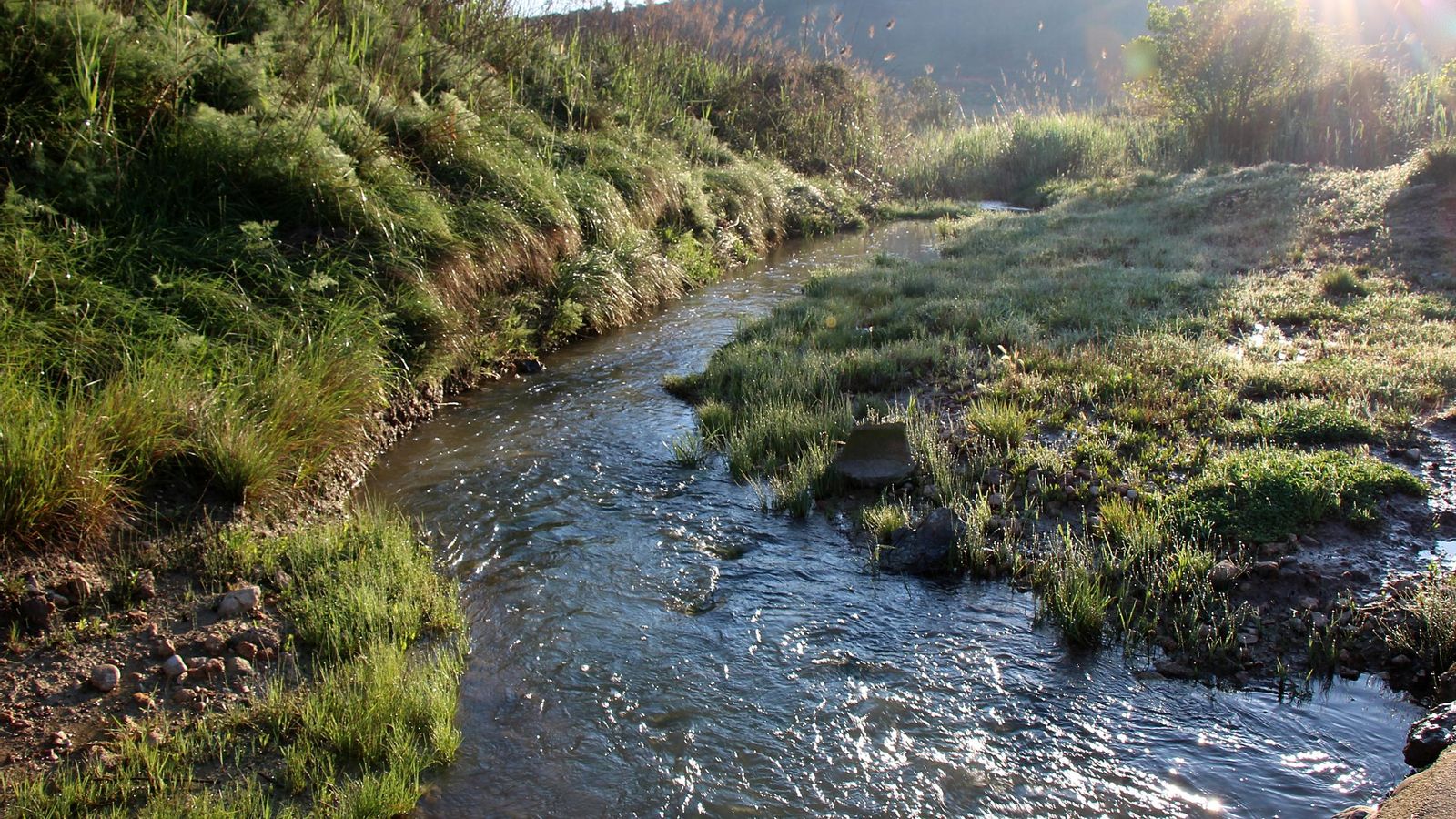 RIU MAGRE PER REAL, LA RIBERA ALTA, ELISA SALA