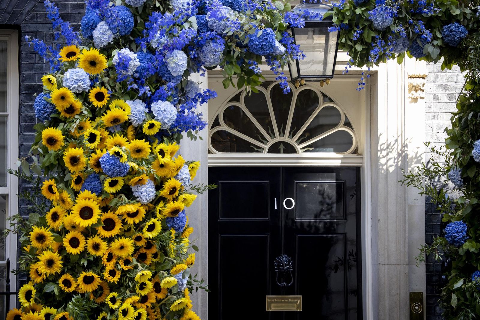 Flors amb els colors de la bandera d'Ucraïna a la porta número 10 de Downing Street, a Regne Unit