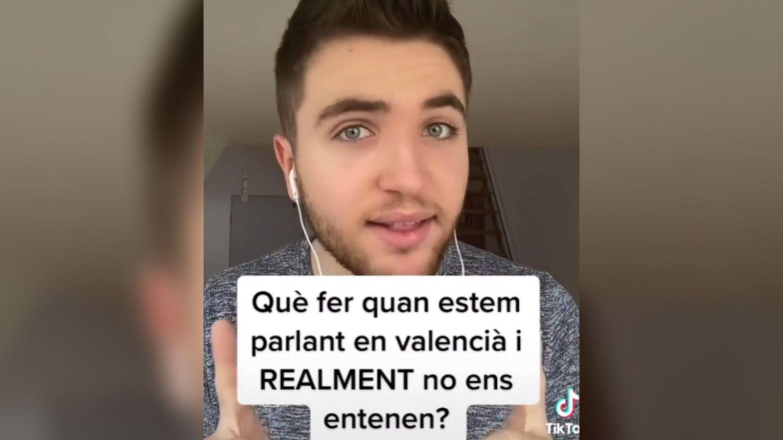 Capura del perfil d'Apitxat a TikTok