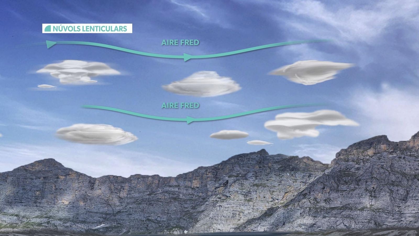 LENTICULARS
