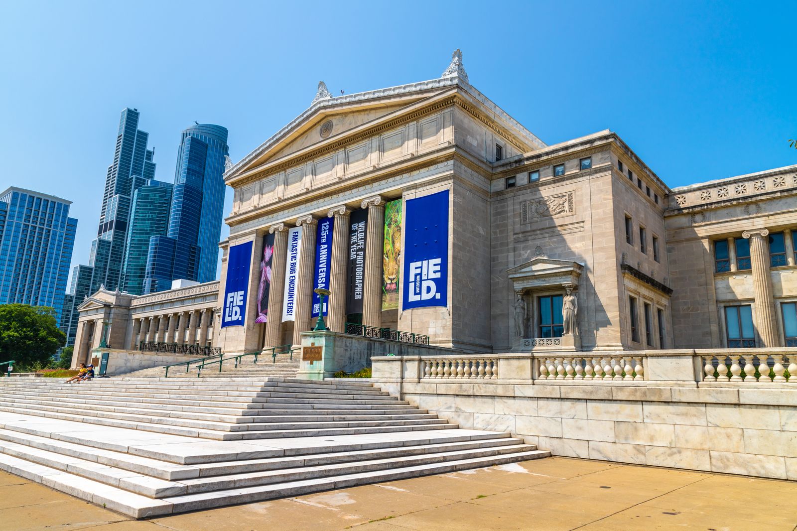 Field Museum