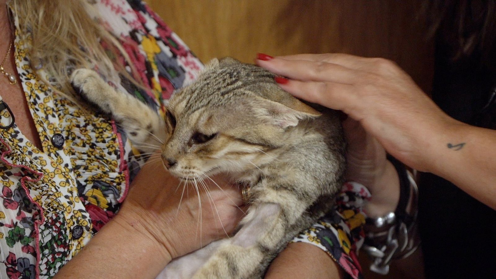 06.12.2025 | La família creix