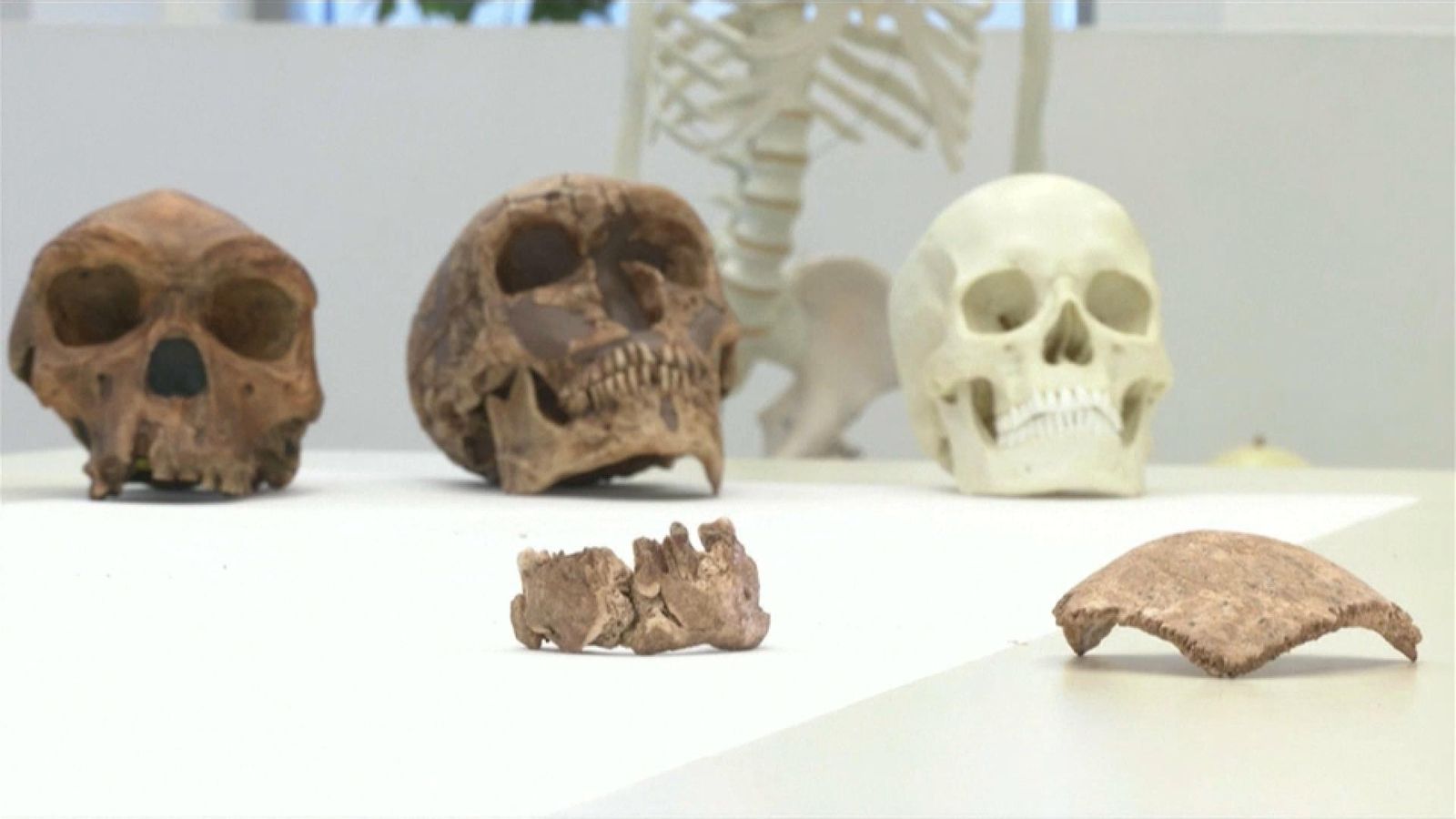 La troballa descoberta en les excavacions del jaciment de Nesher Ramla, a Israel