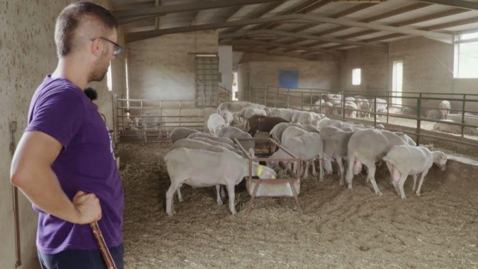 Jordi, el ramader de Xert, en 'De mar i bancal'