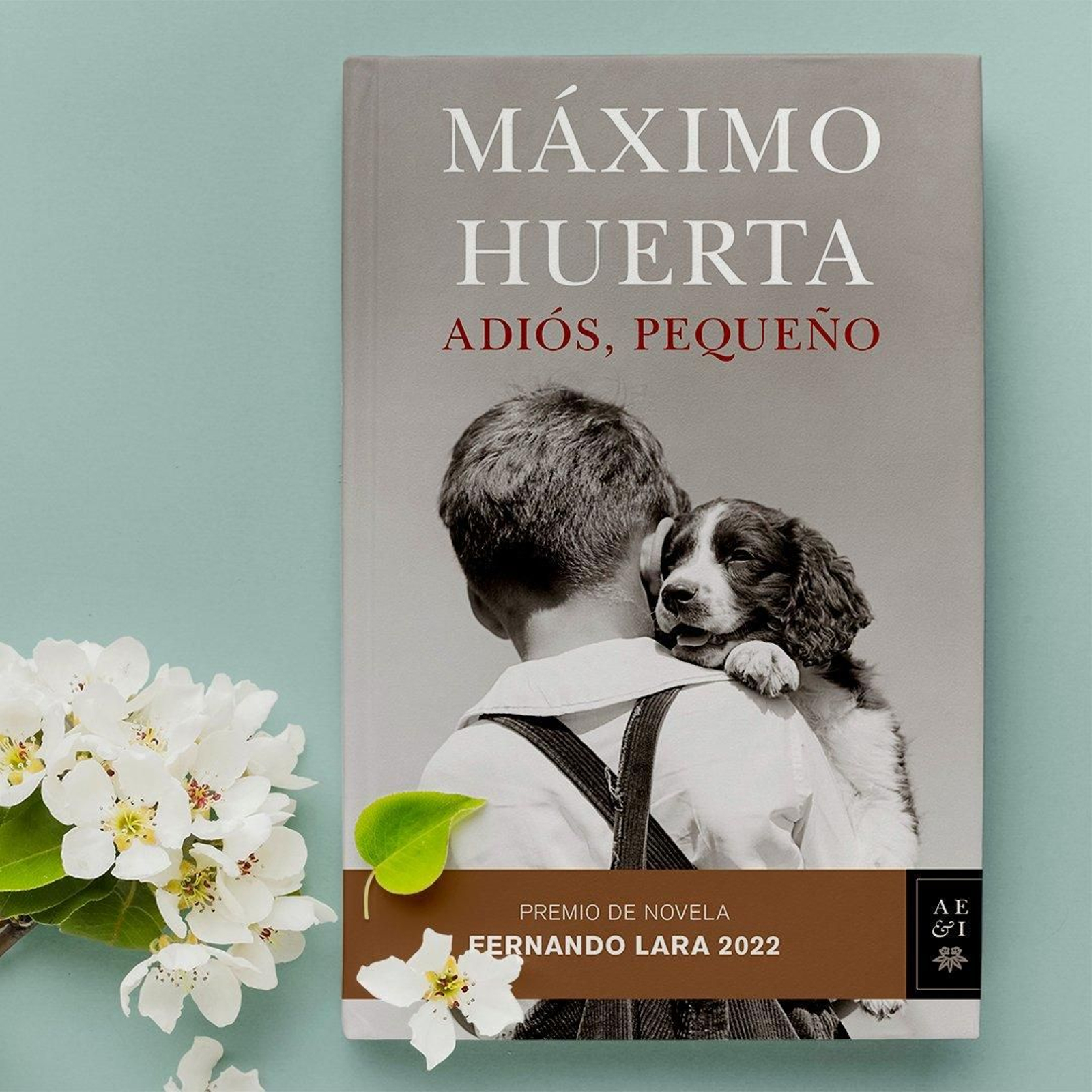 Portada del  llibre de Màxim Huerta