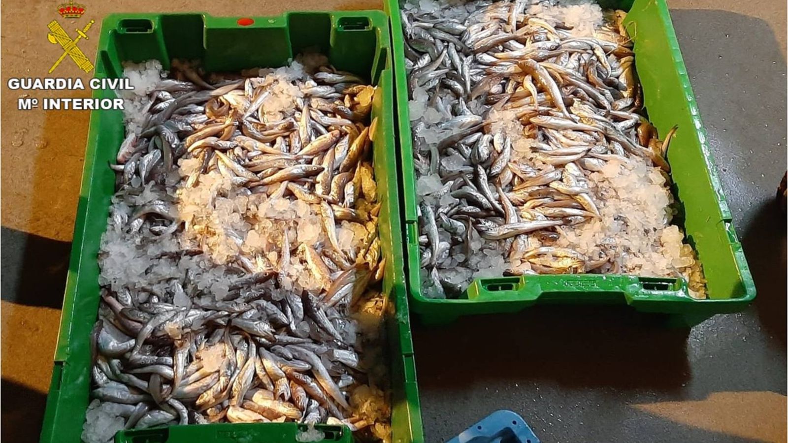 El Seprona intervé més de 19.000 quilos de productes alimentaris amb irregularitats