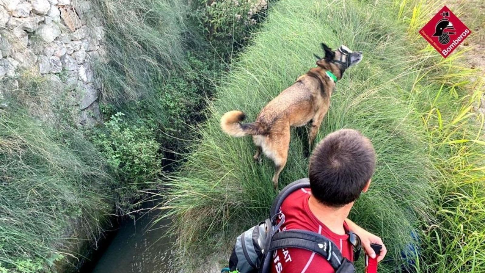 Dispositiu de recerca