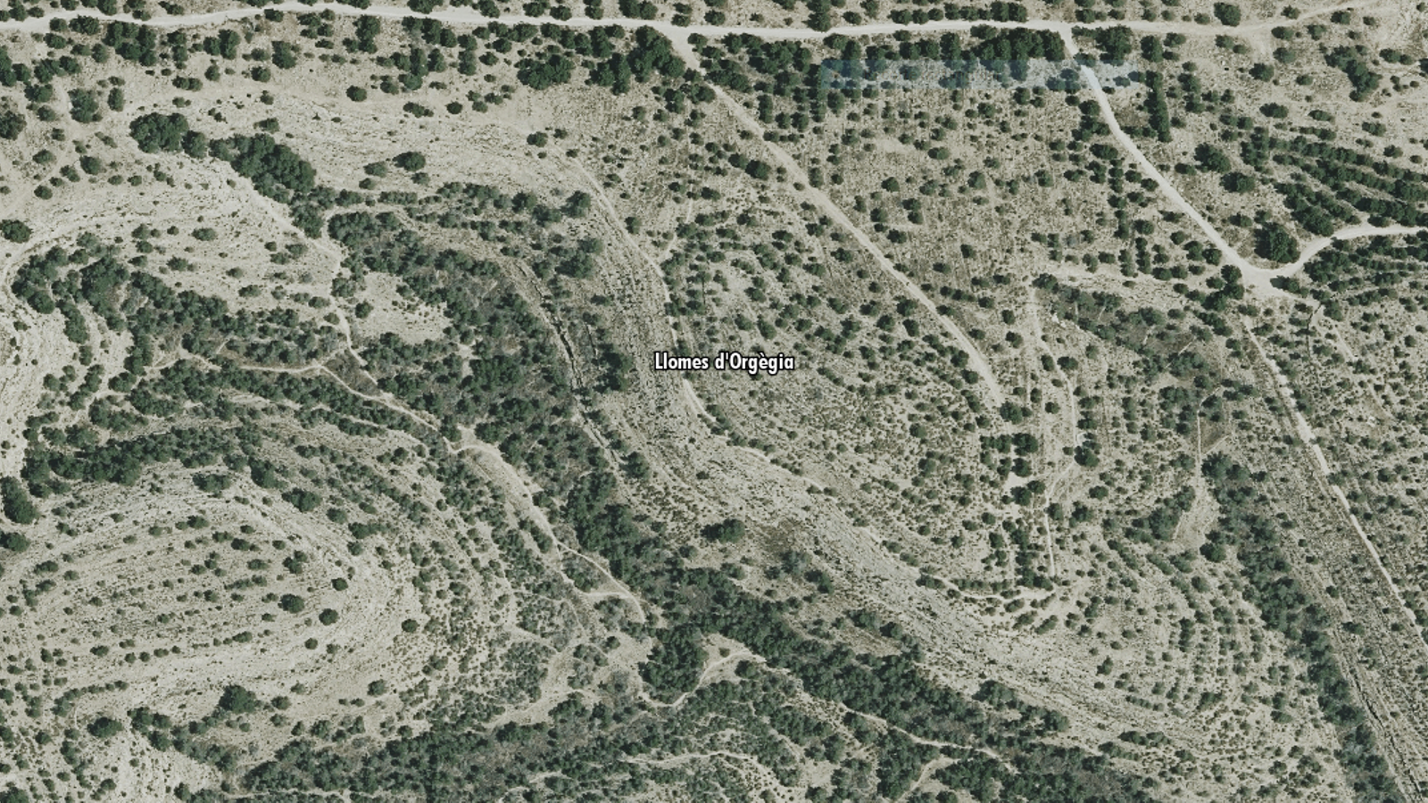Llomes d’Orgègia