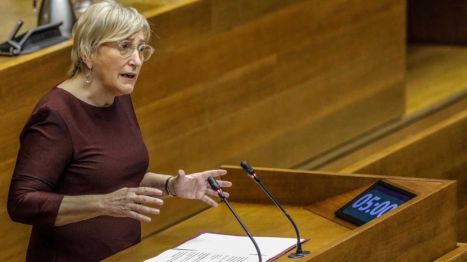 Ana Barceló compareix en les Corts Ana Barceló compareix en les Corts