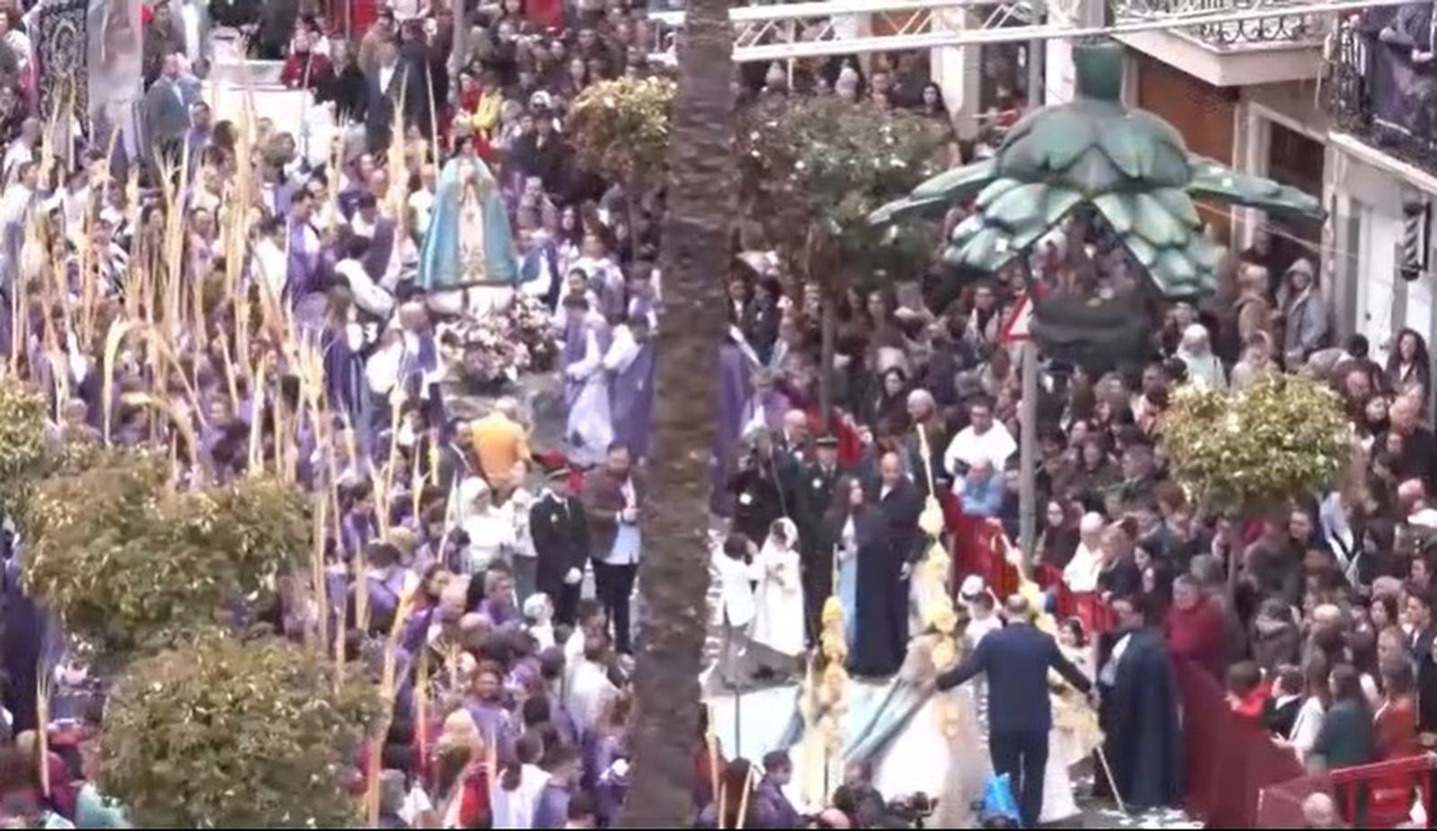 El màgic moment de l'obertura de la carxofa