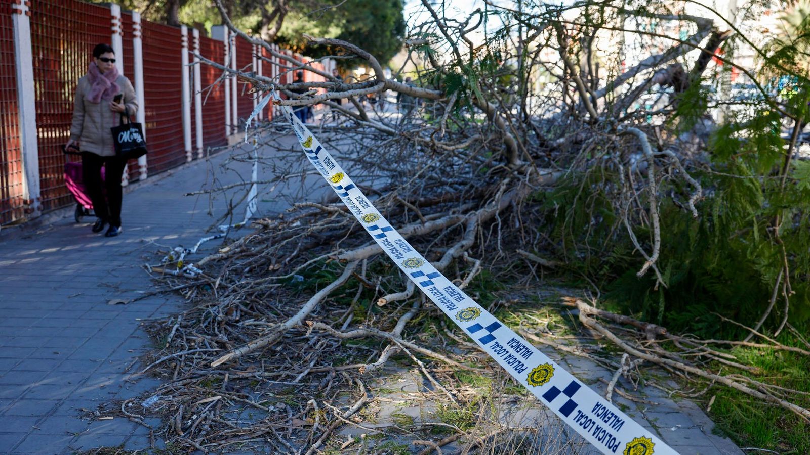 Una vianant avança per una vorera de València on el vent de les últimes hores ha tombat un arbre