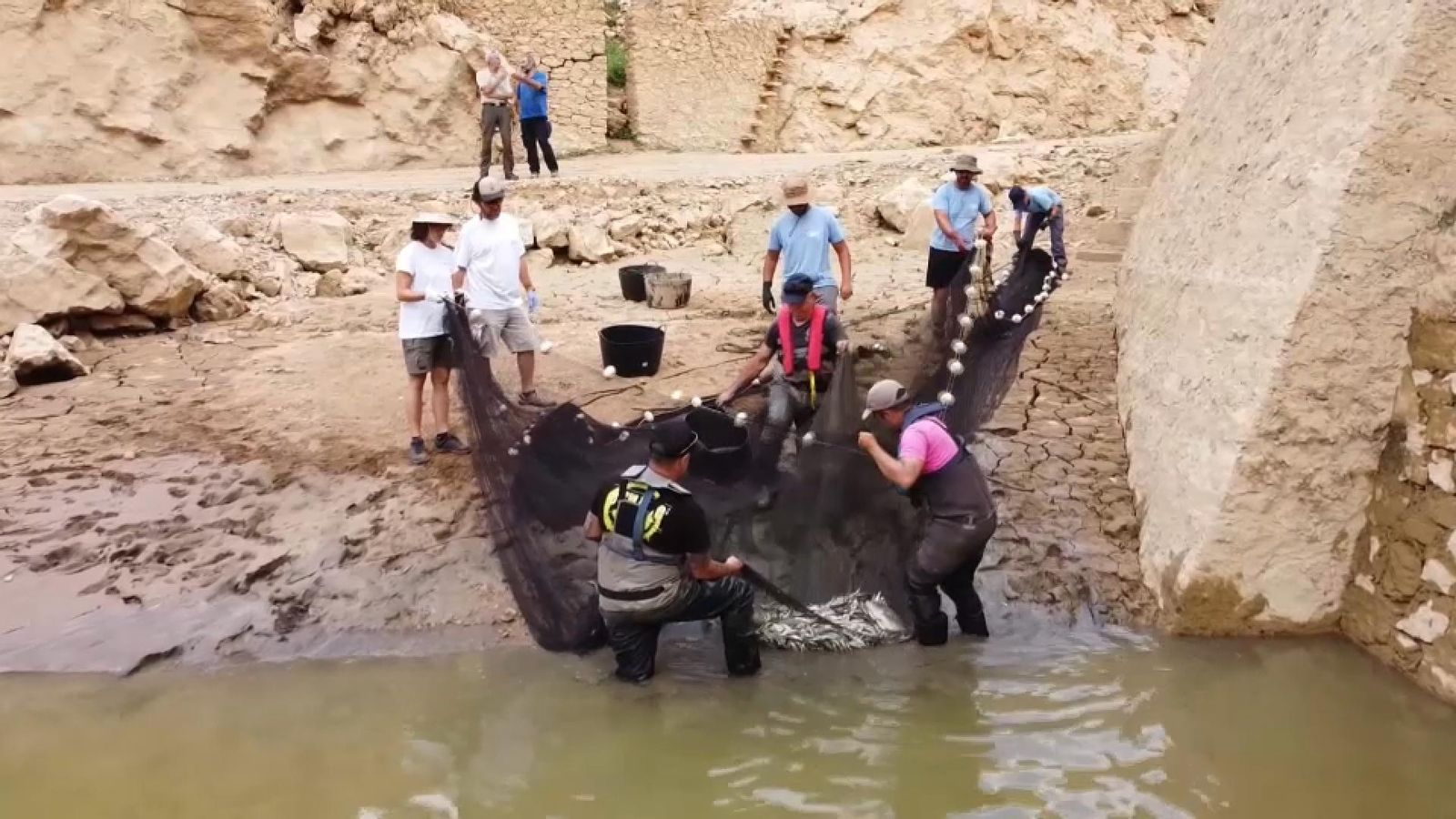 Despesque a l'embassament de Bellús
