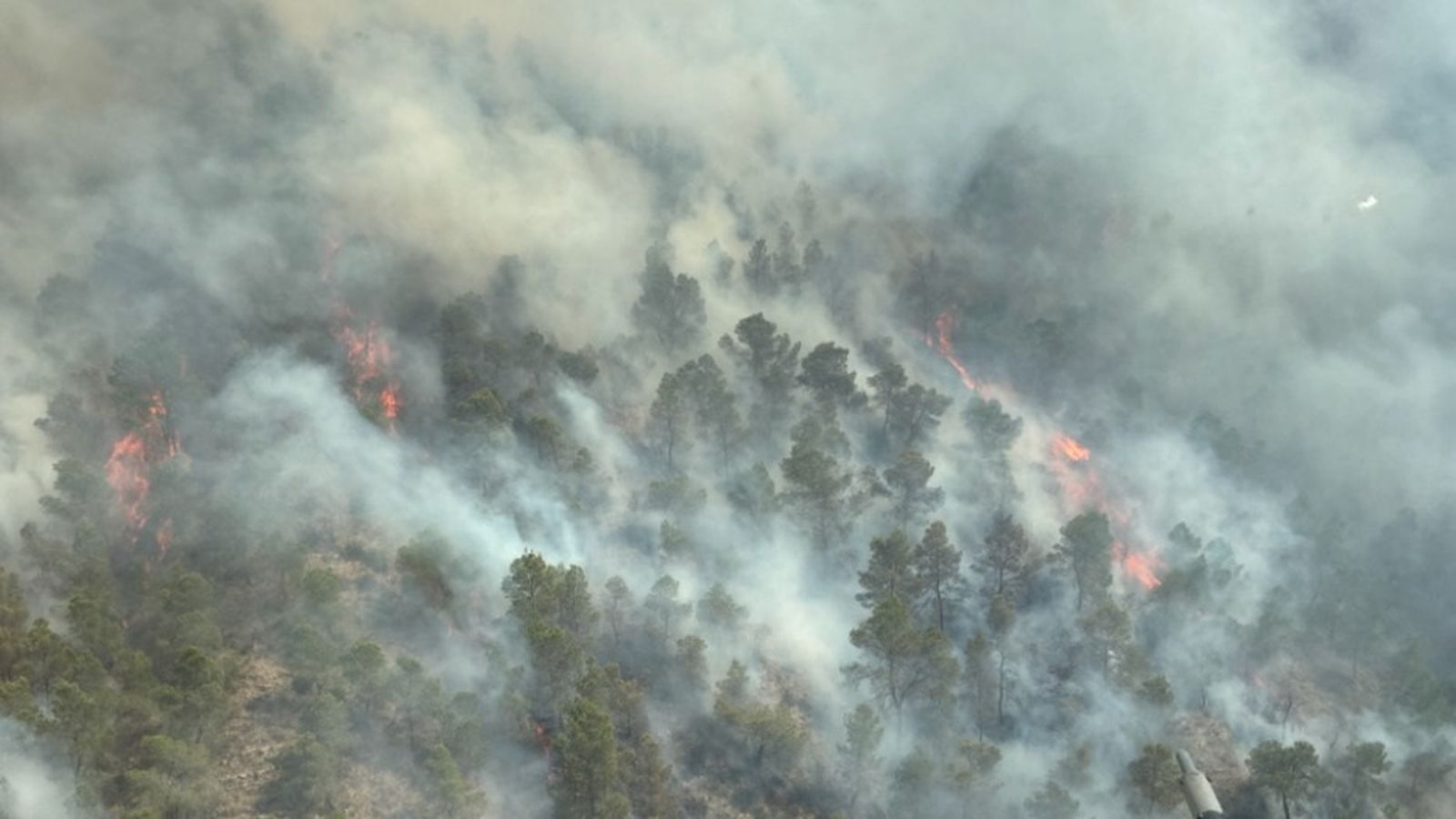 Incendi forestal a Garres i Lages, Múrcia