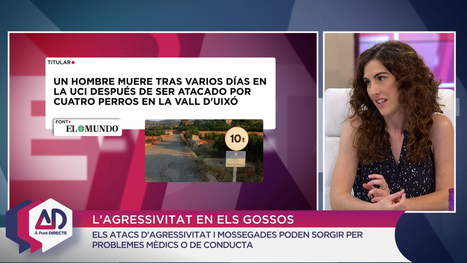 L’agressivitat en els gossos