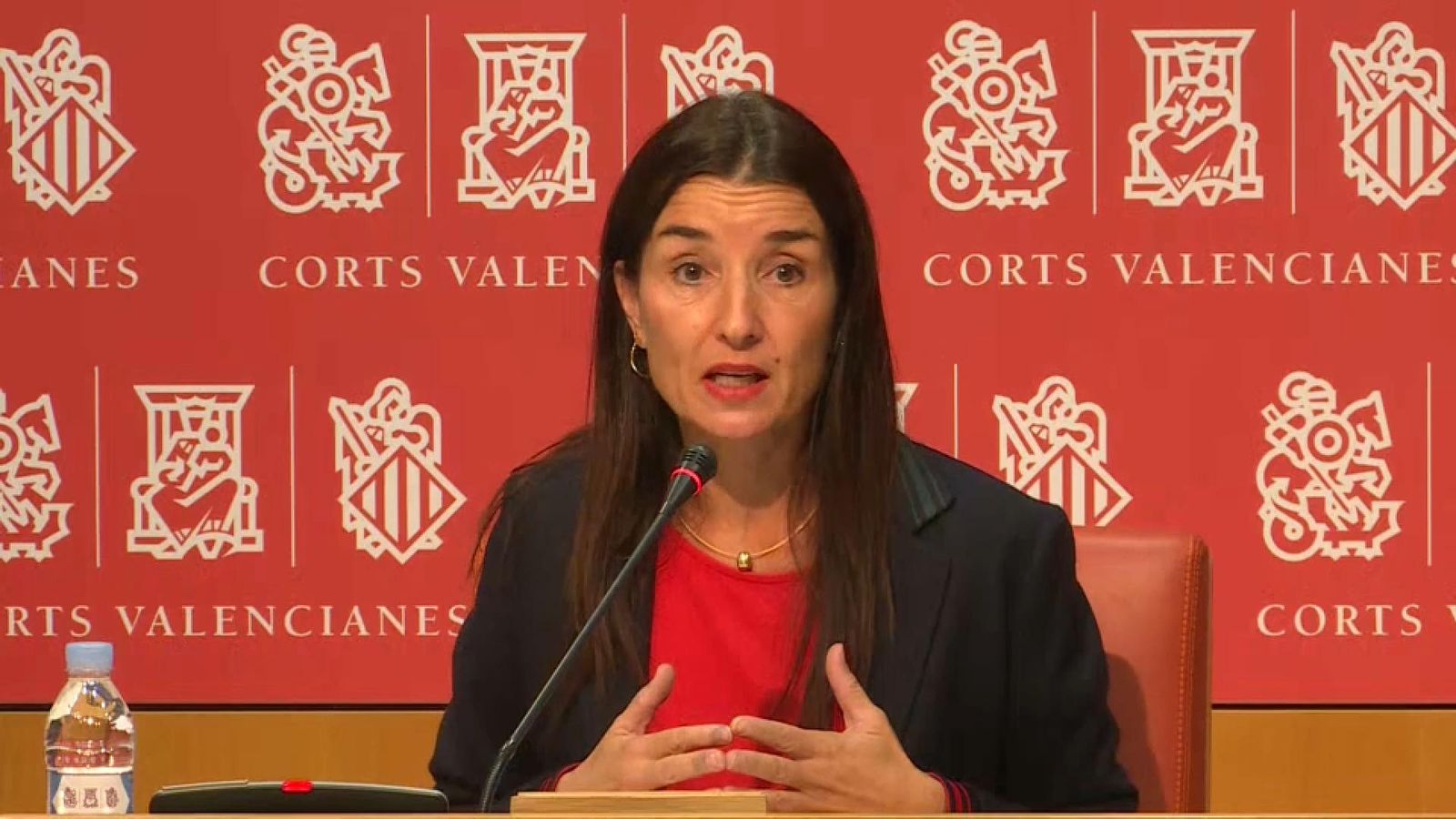 Merino, aquest dilluns, en roda de premsa