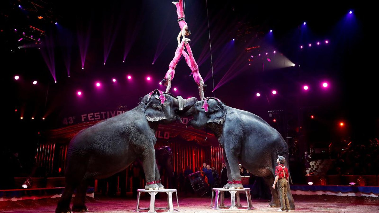 La Comunitat Valenciana es converteix en la sisena espanyola que prohibeix circs amb animals