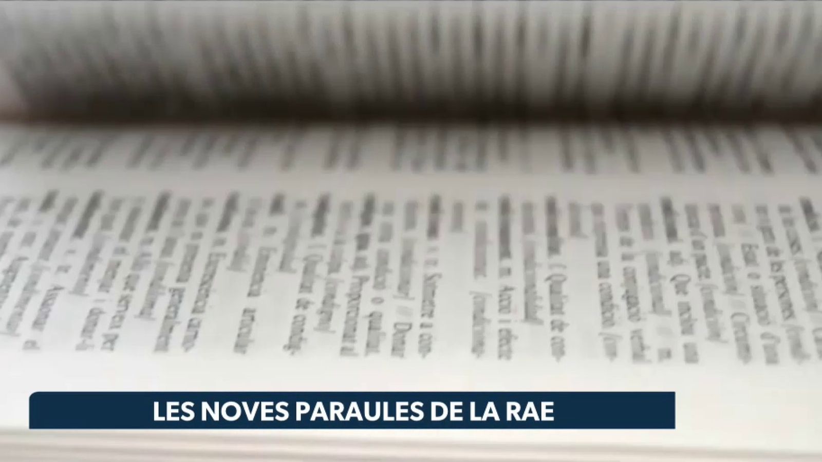 Les noves paraules de la RAE