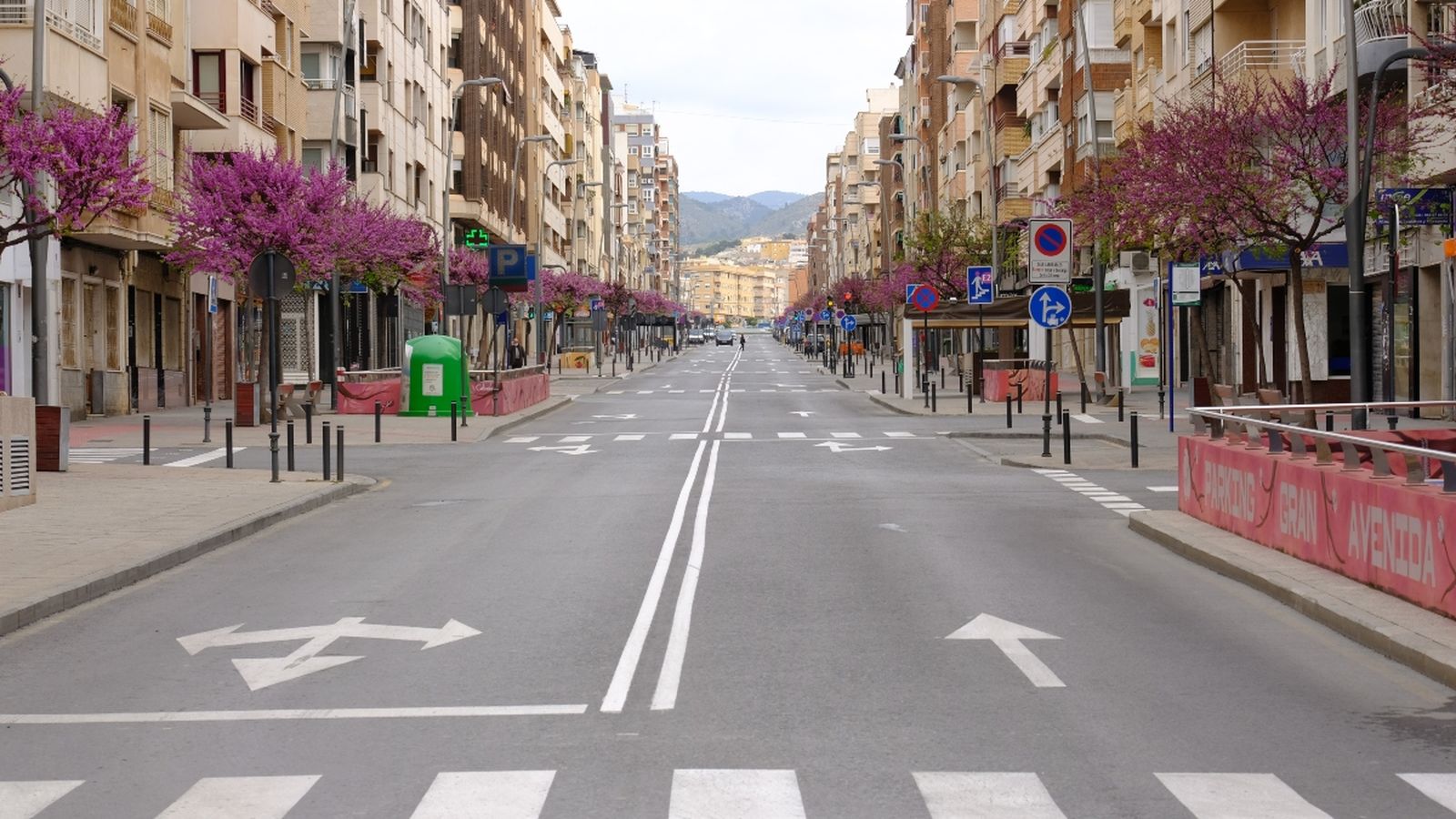 Una cèntrica avinguda de la ciutat d'Alacant
