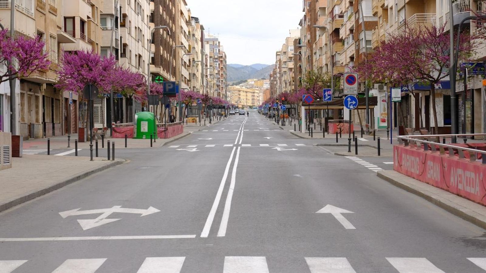 Una cèntrica avinguda de la ciutat d'Alacant