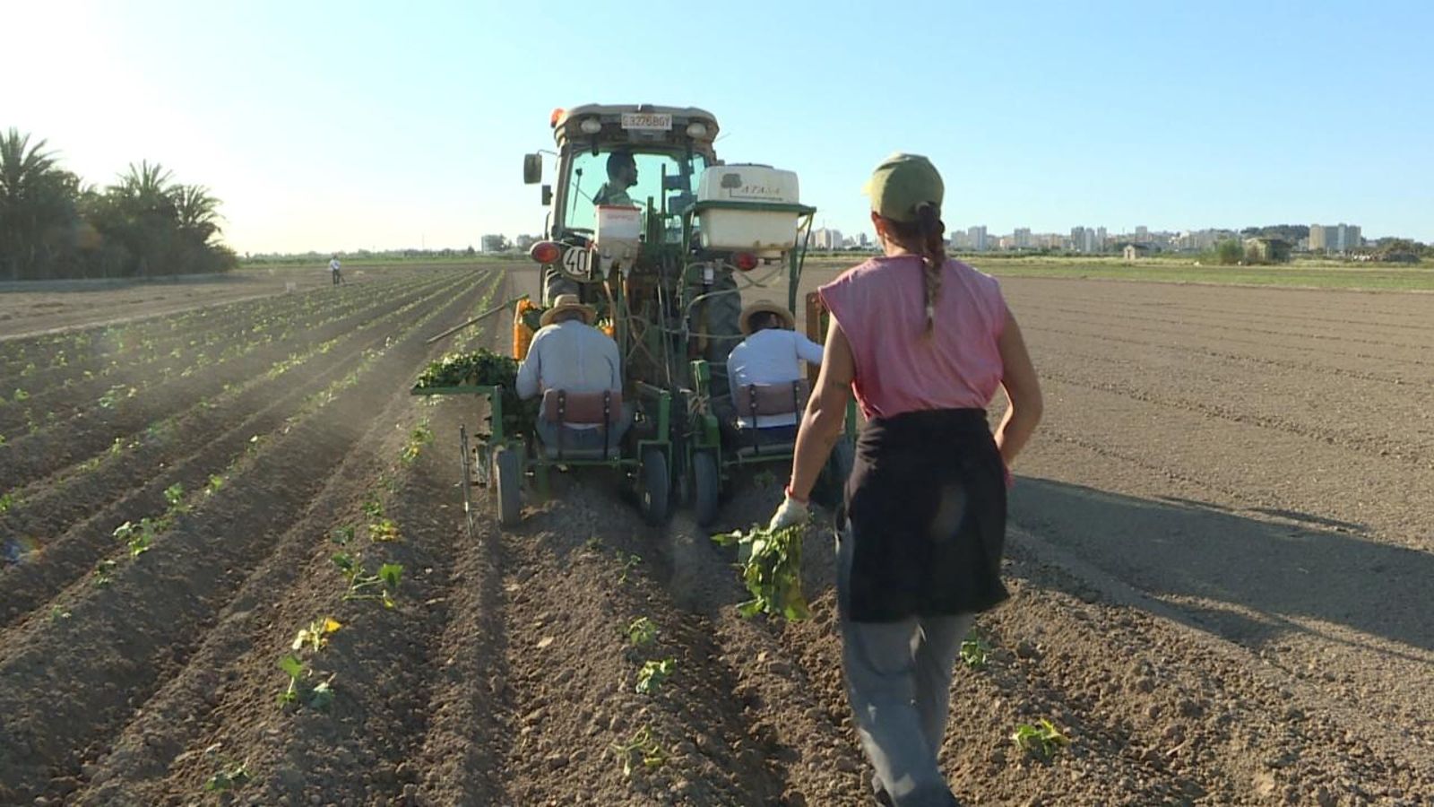 Falta de relleu al camp