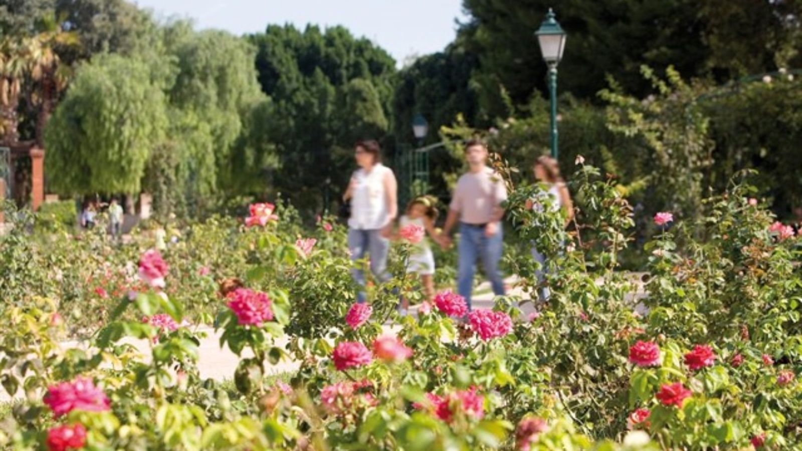 Els jardins dels Vivers de la ciutat de València acullen la segona edició de Dies de Parc
