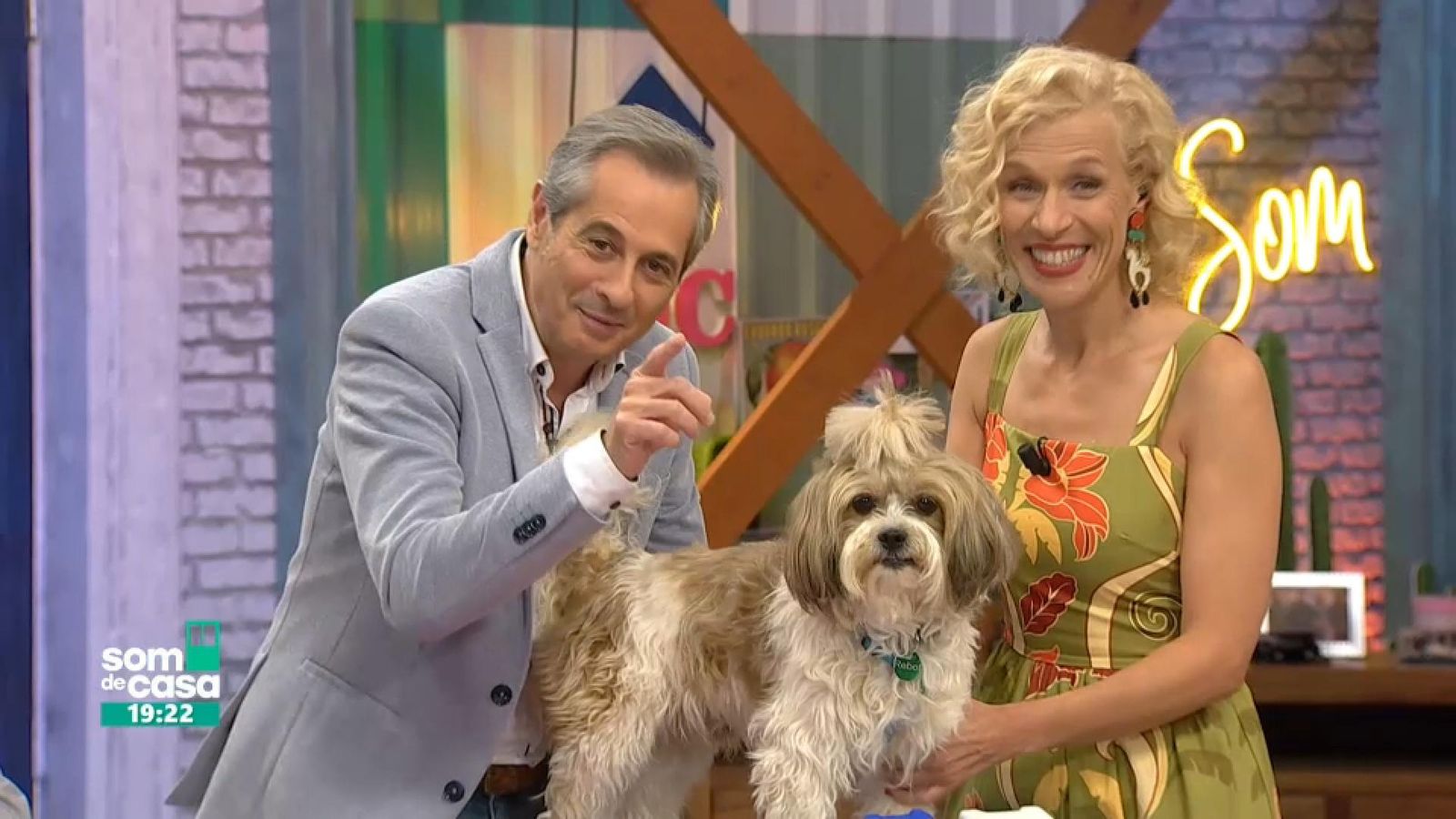 Precaucions per a protegir els nostres animals durant l’estiu