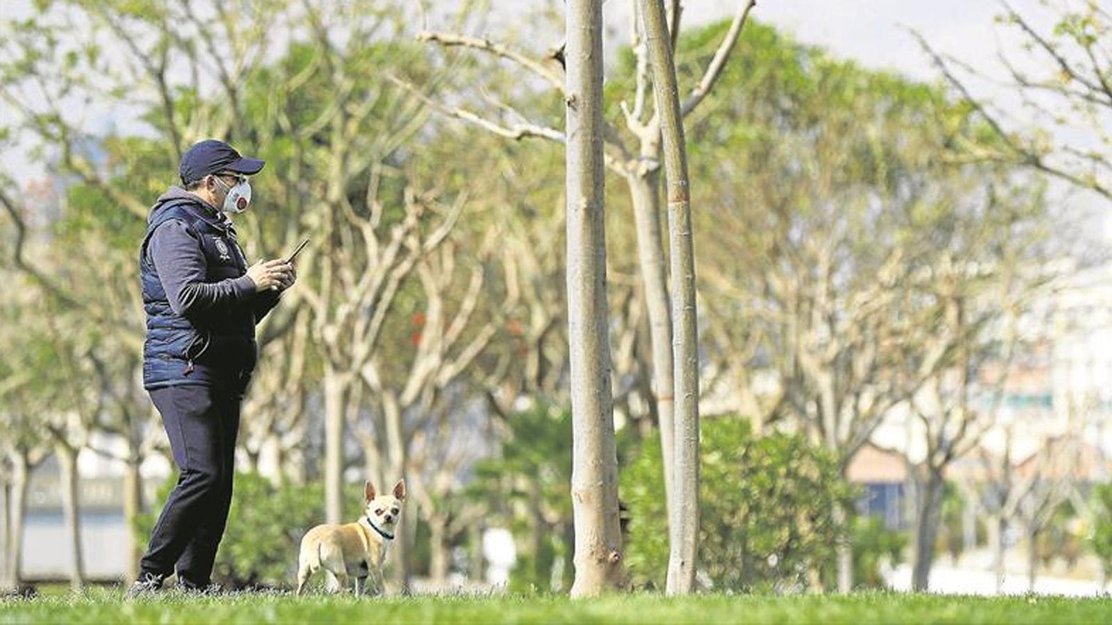 Un home protegit amb mascareta passeja el gos a València