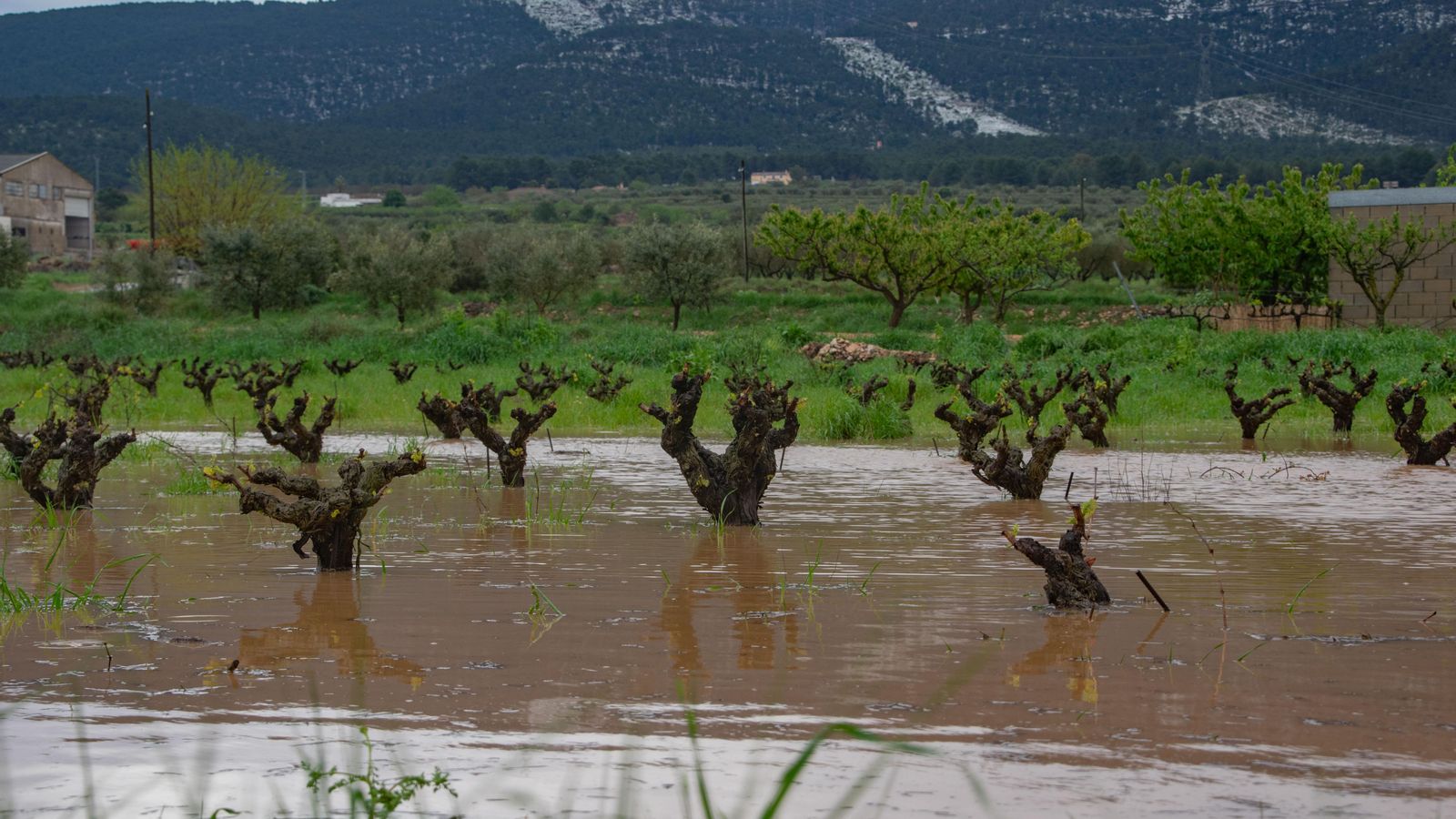 FONTANARS DELS ALFORINS, LA VALL D'ALBAIDA