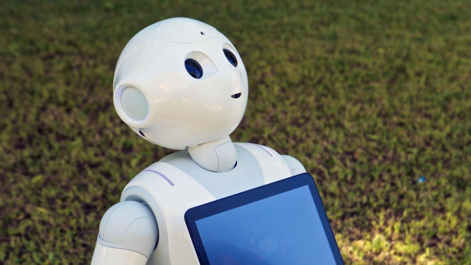 Pharos determina els exercicis més adequats en funció de les capacitats de cada persona