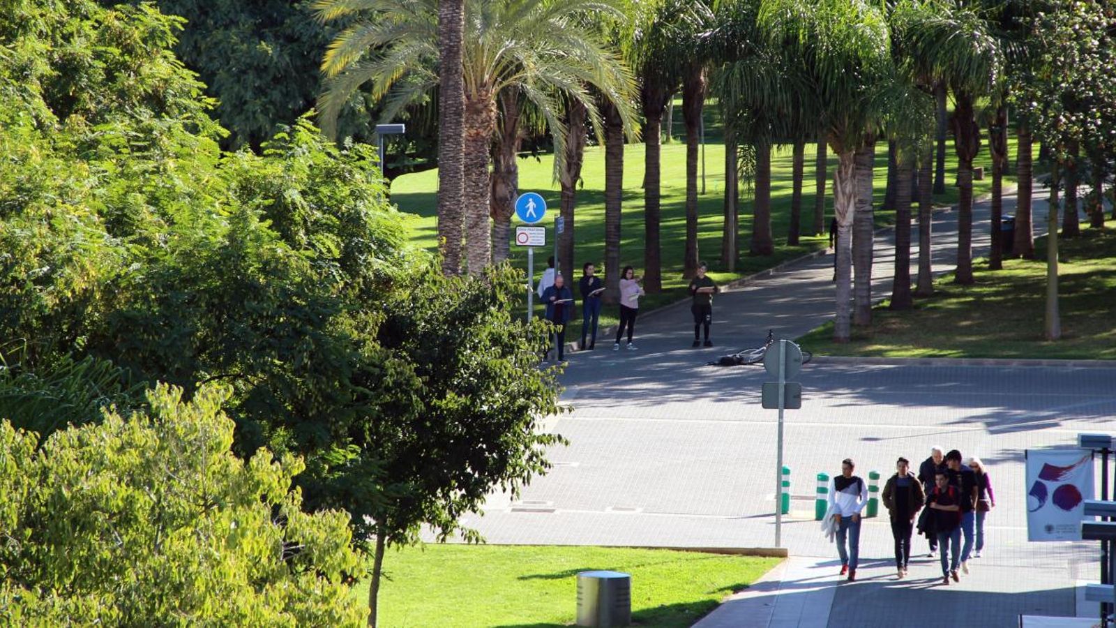 Campus de la Universitat Politècnica de València en una imatge d'arxiu