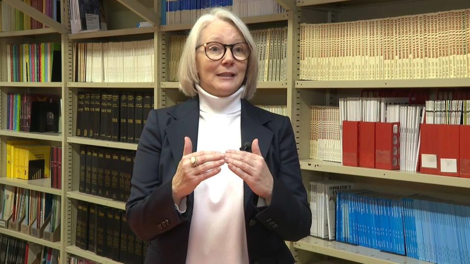 Carme Colomina, investigadora sénior del Centre d'Afers Internacionals de Barcelona Carme Colomina, investigadora sénior del Centre d'Afers Internacionals de Barcelona