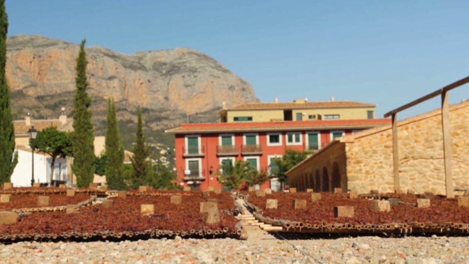 VÍDEO | El ple del Consell aprova que es declare l\'escaldada de la pansa com a bé d\'interés cultural immaterial