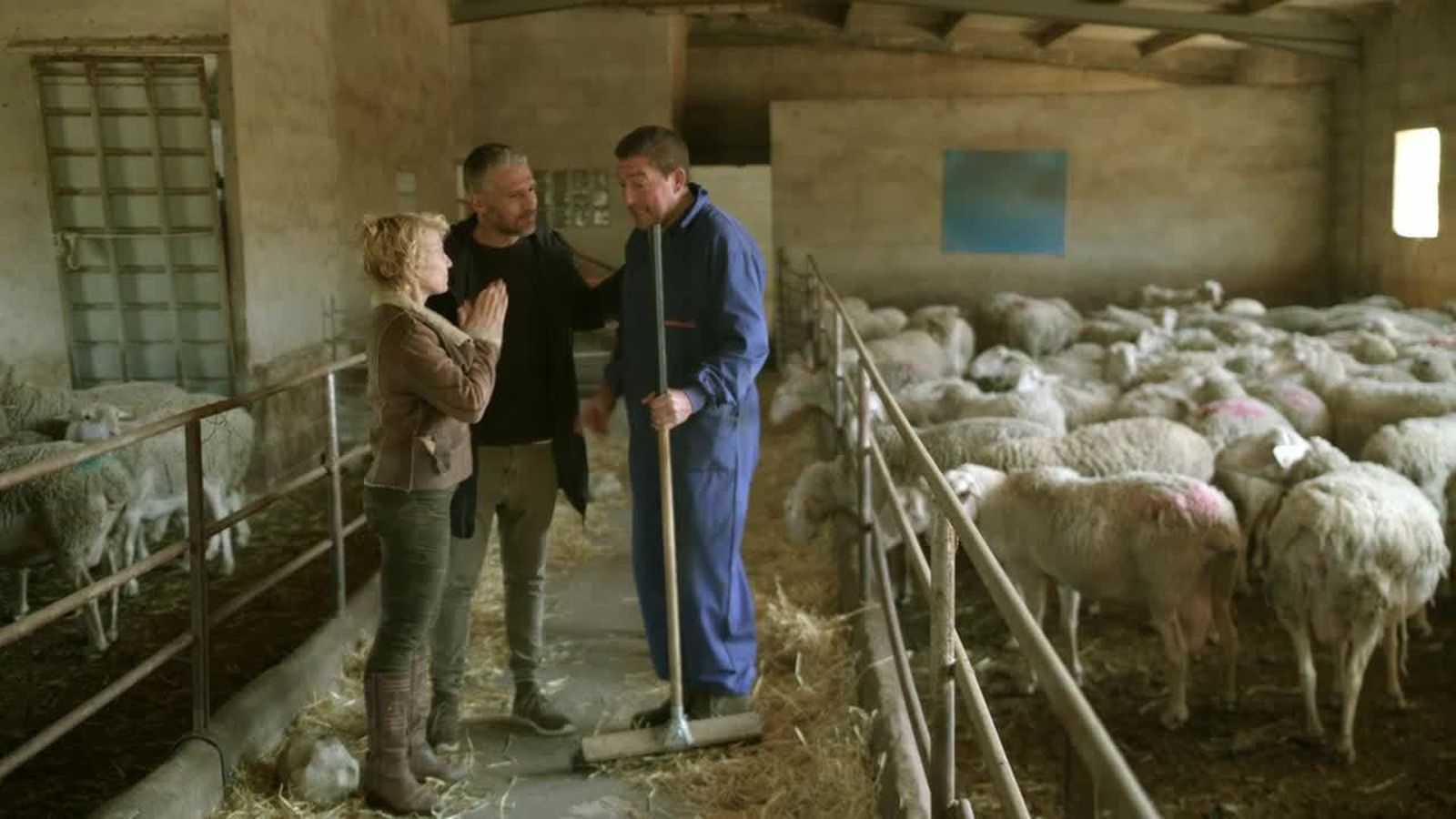 30.01.2019 | Sol Picó aprén a pasturar ovelles