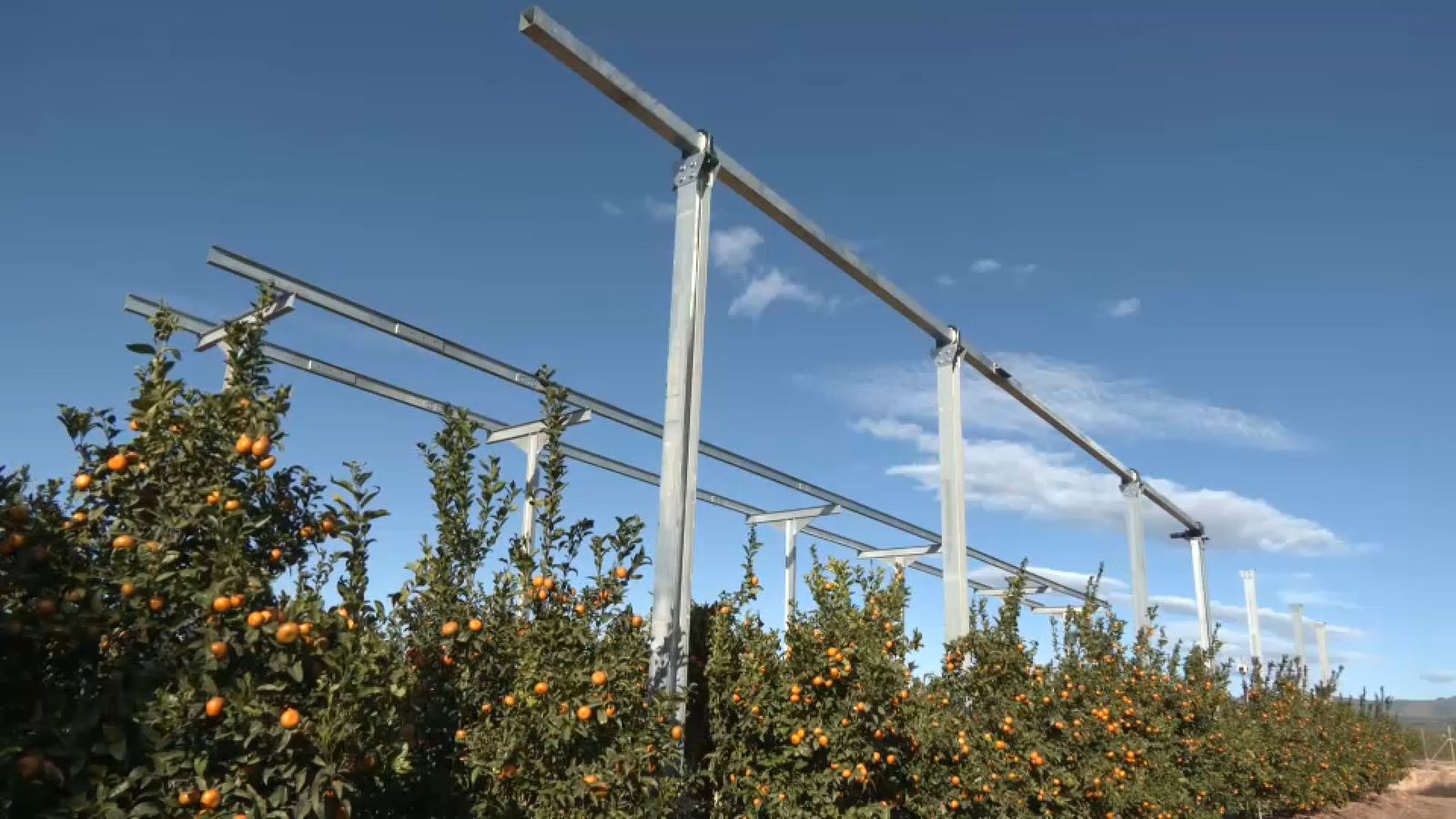 Energia eòlica entre mandarines