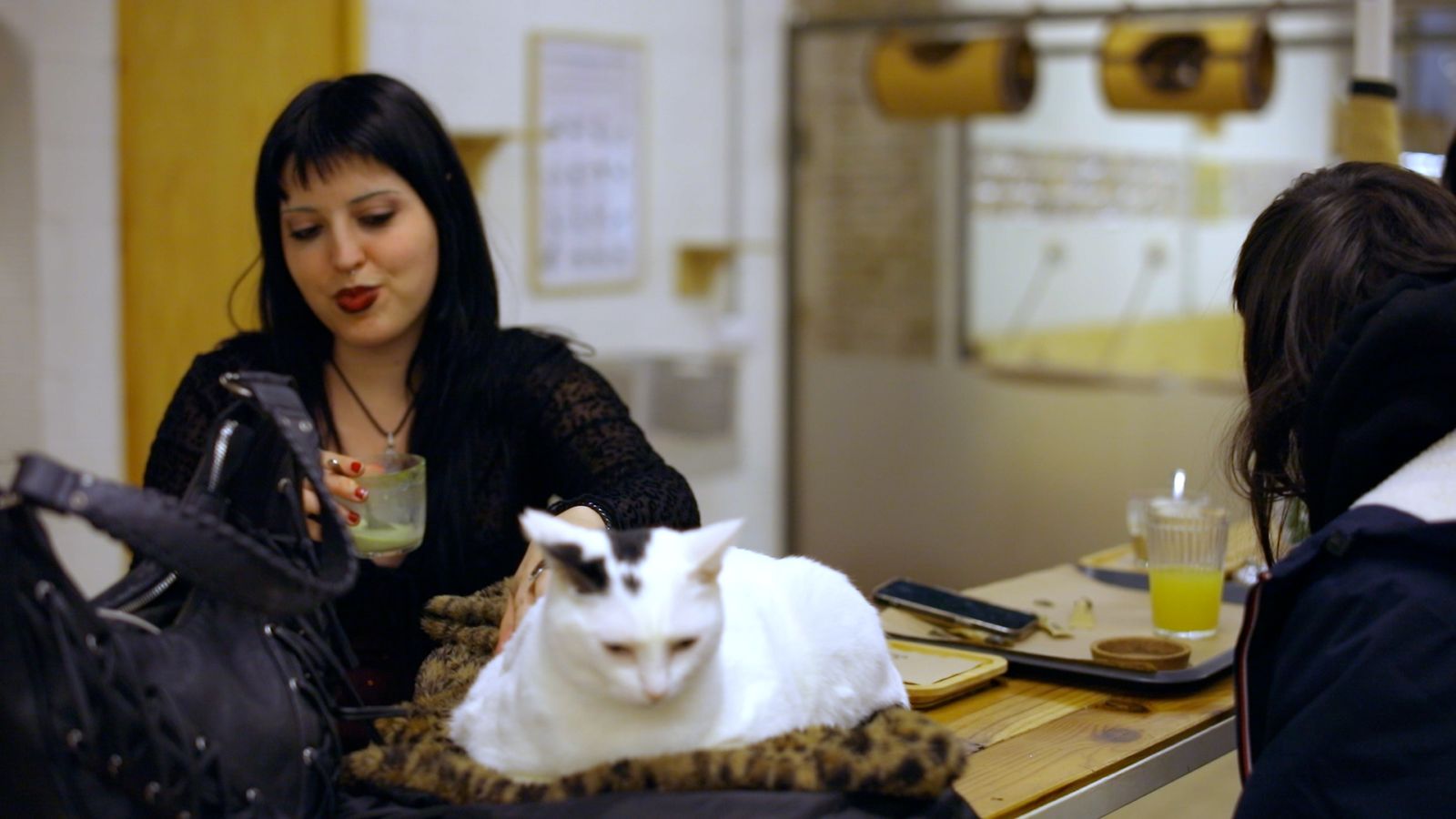 No se servix sense maular