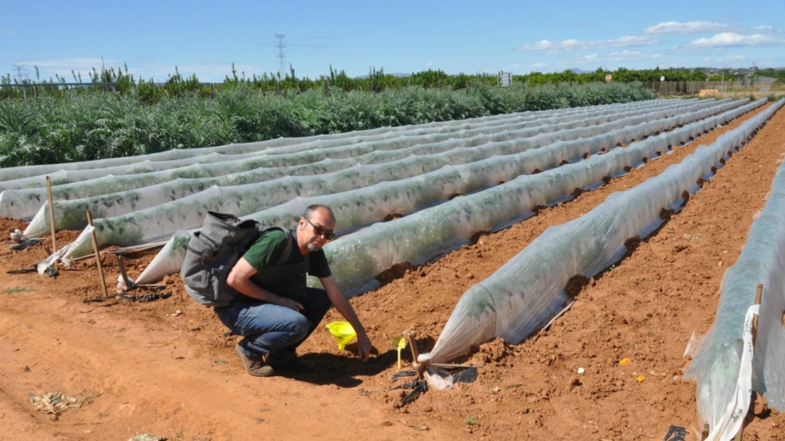 07.05.2018 | Agrodiversitat: la diversitat biològica de l'agricultura