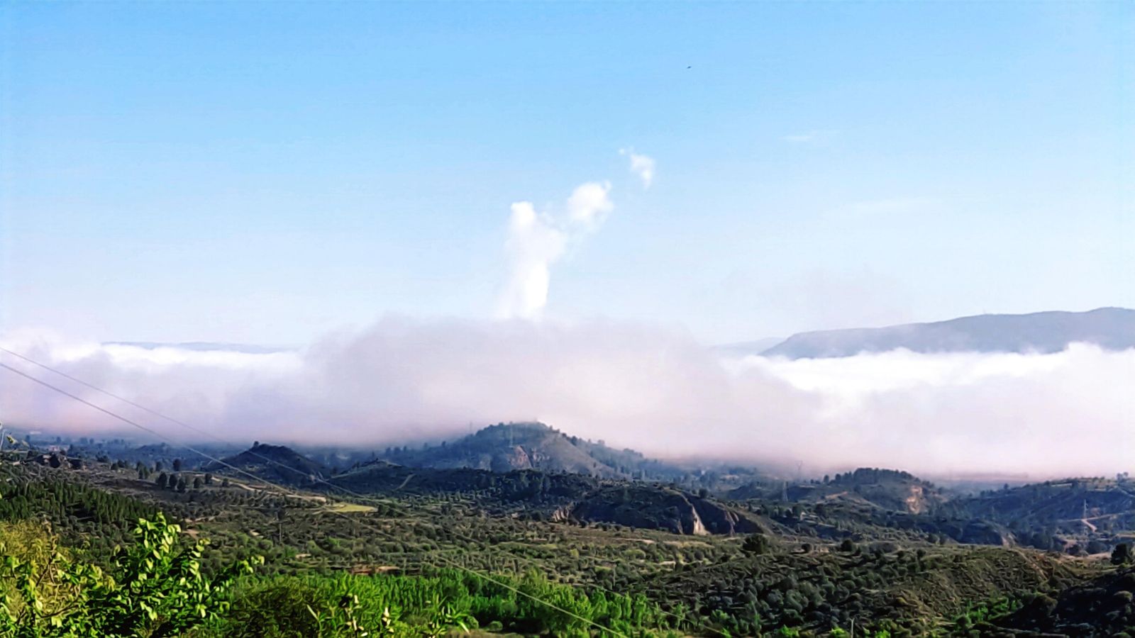 cofrents des de jarafule julián martínez.jpg