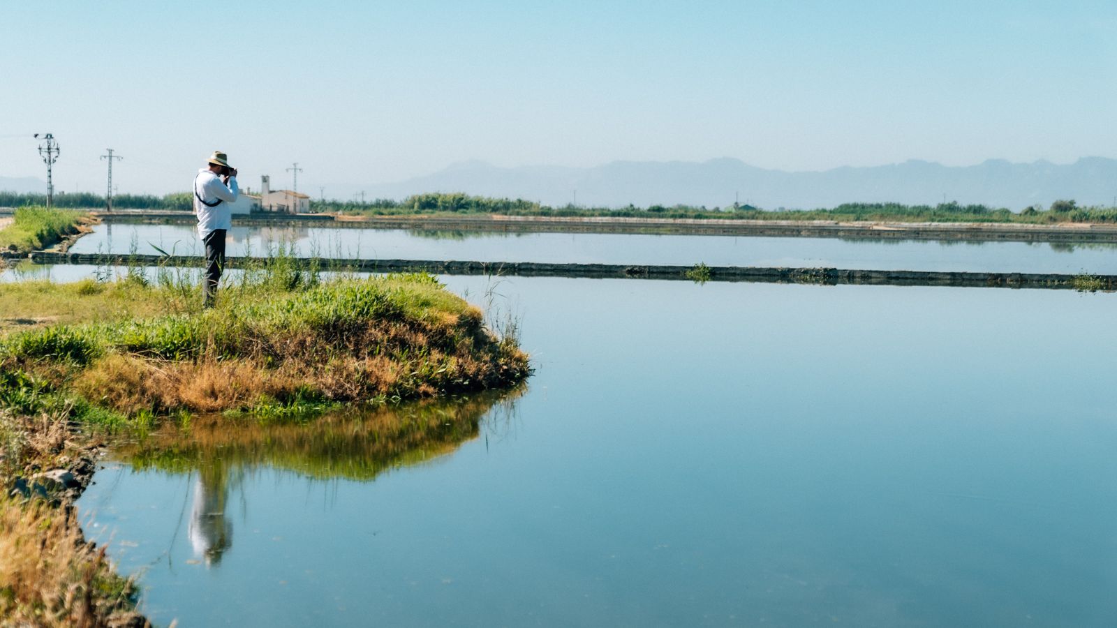 El recorregut del festivala passarà pers arrosars de l'Albufera