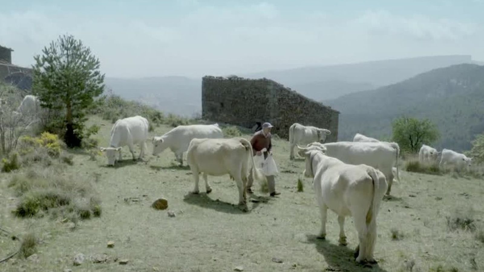 22.10.2019 | Xodos, l’Alcalatén