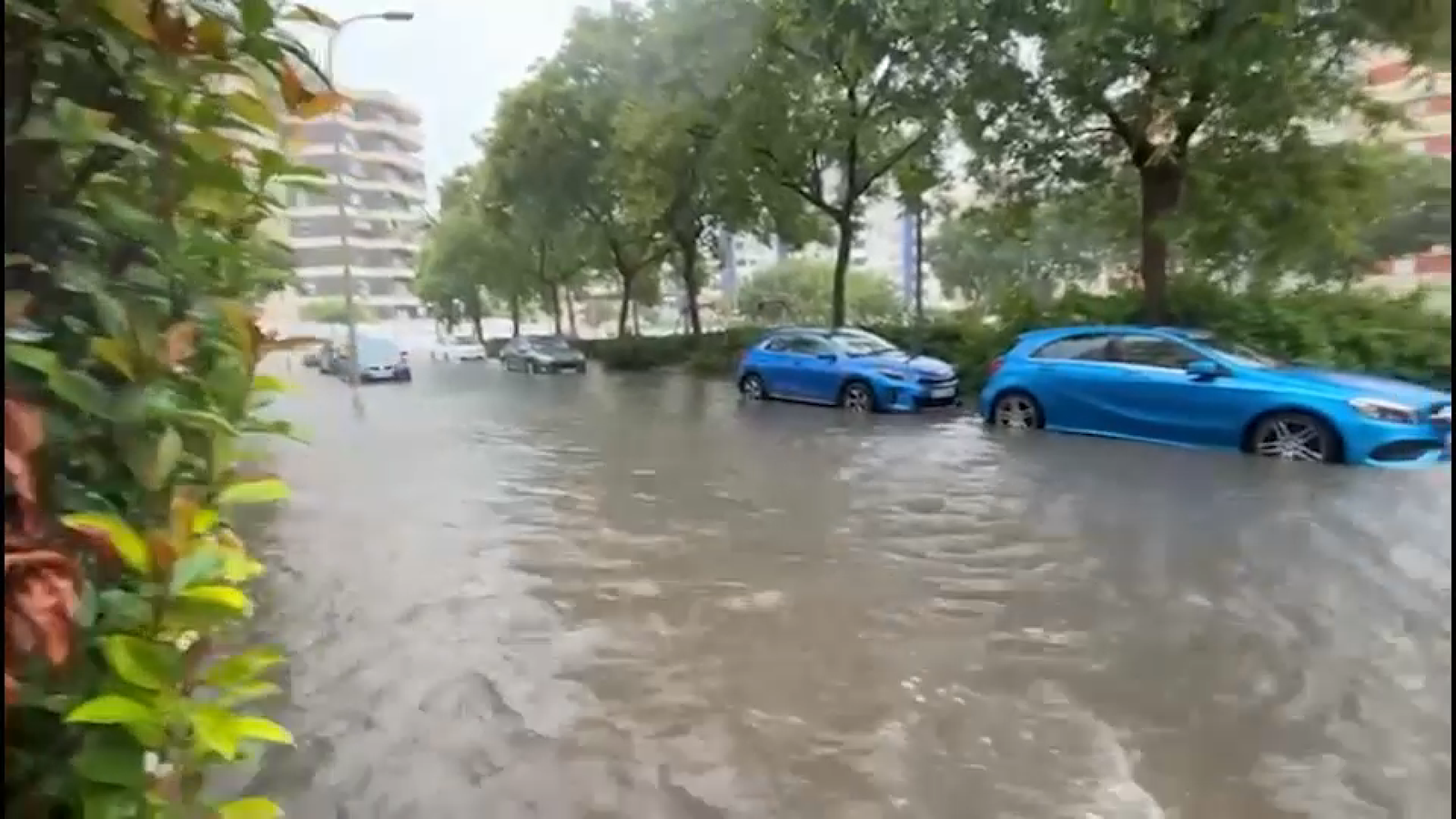 Plou amb intensitat a la Safor, amb 126 l/m² a Gandia i pics de 50 l/m² en vint minuts