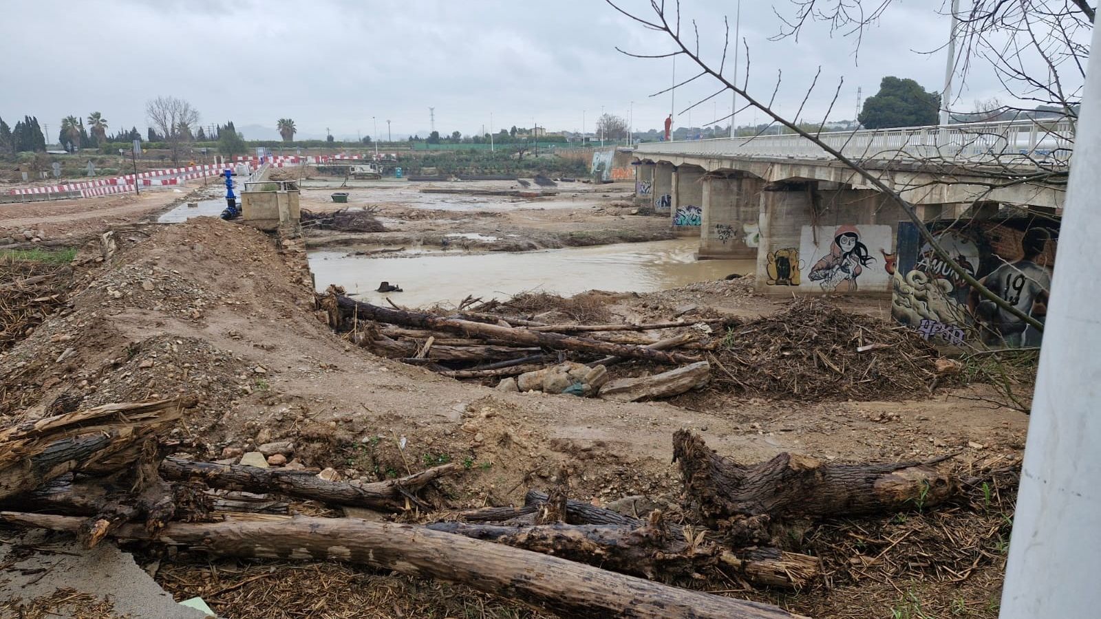 Destrosses de la dana en l'entorn de Riba-Roja