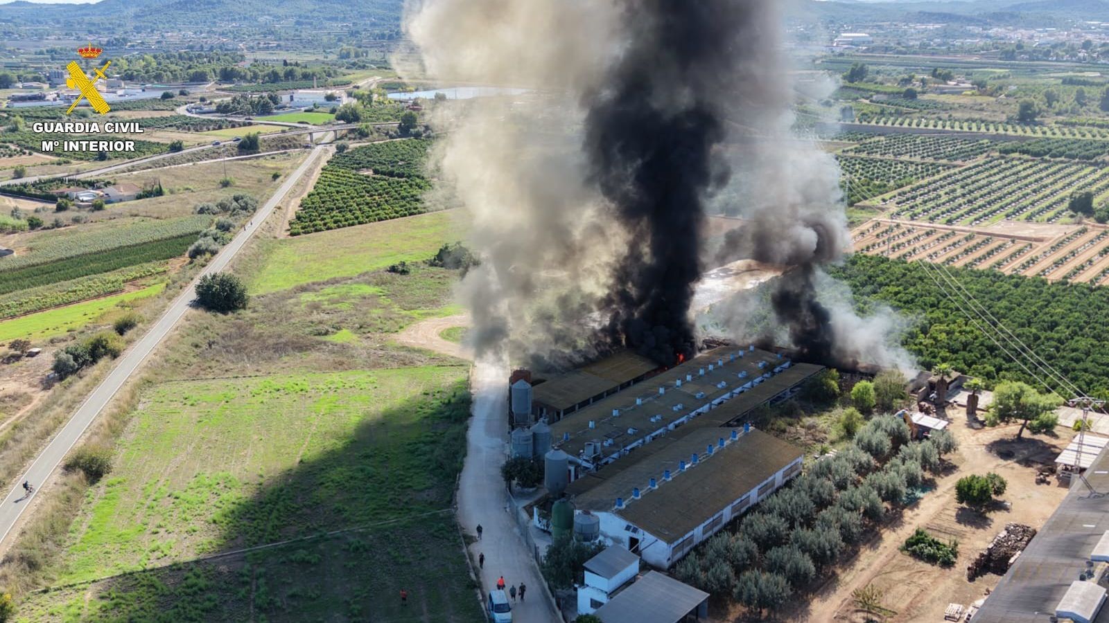 Explotació porcina incendiada a Benaguasil
