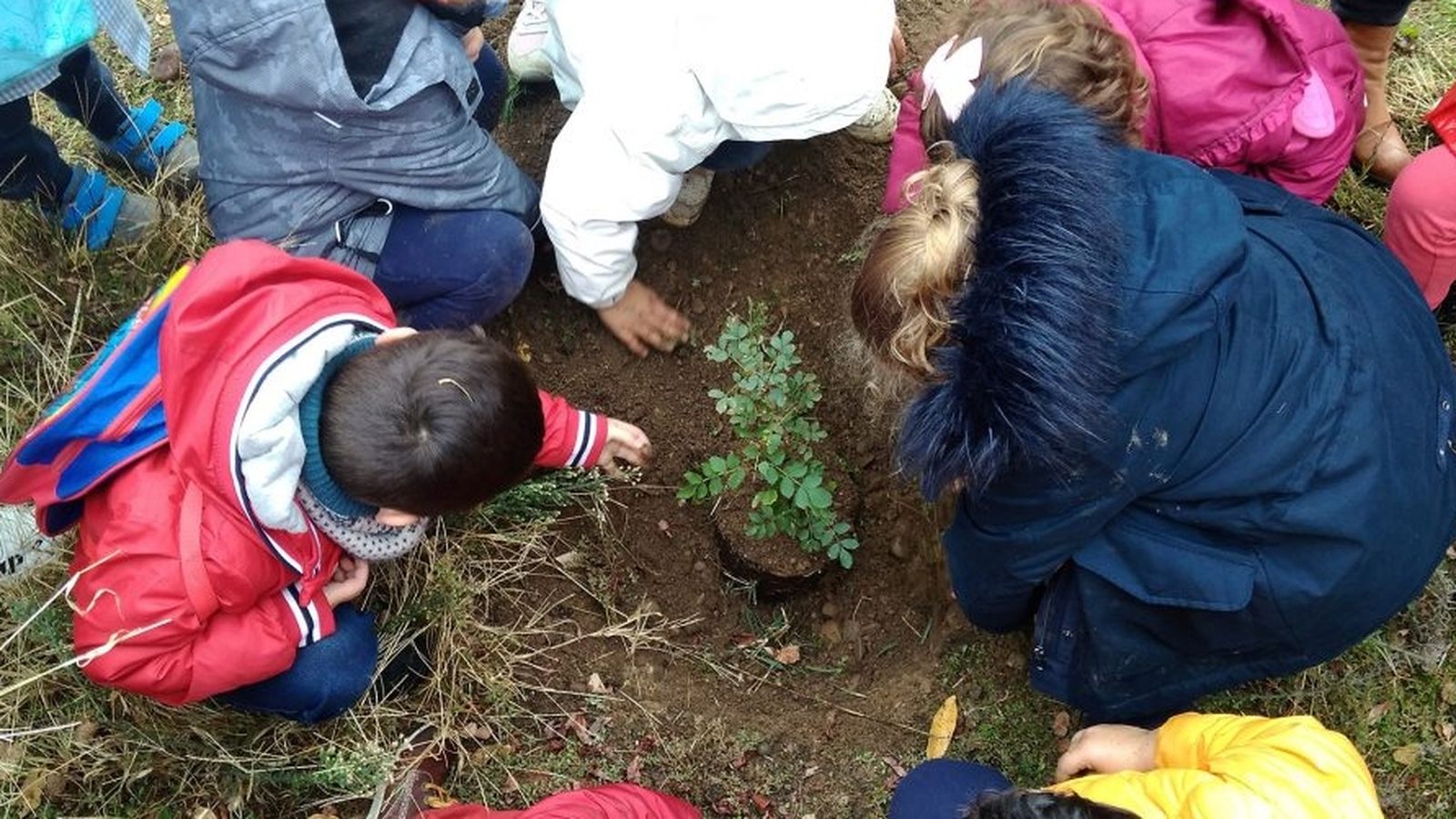 La Gran Bellotada Ibèrica