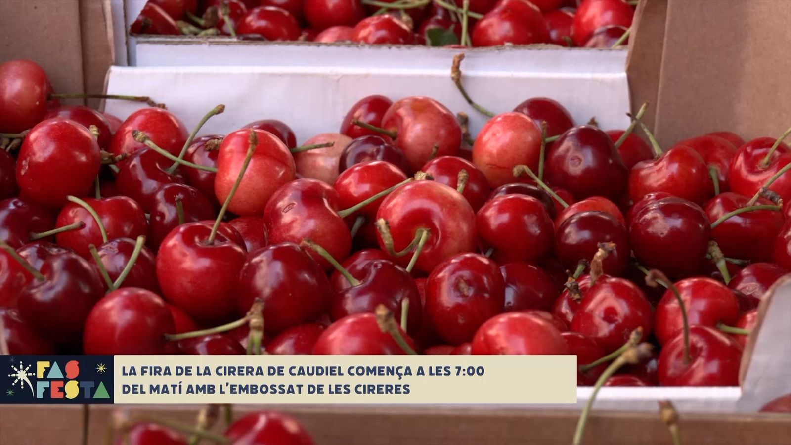 09.06.2023 | Fira de la Cirera de Caudiel