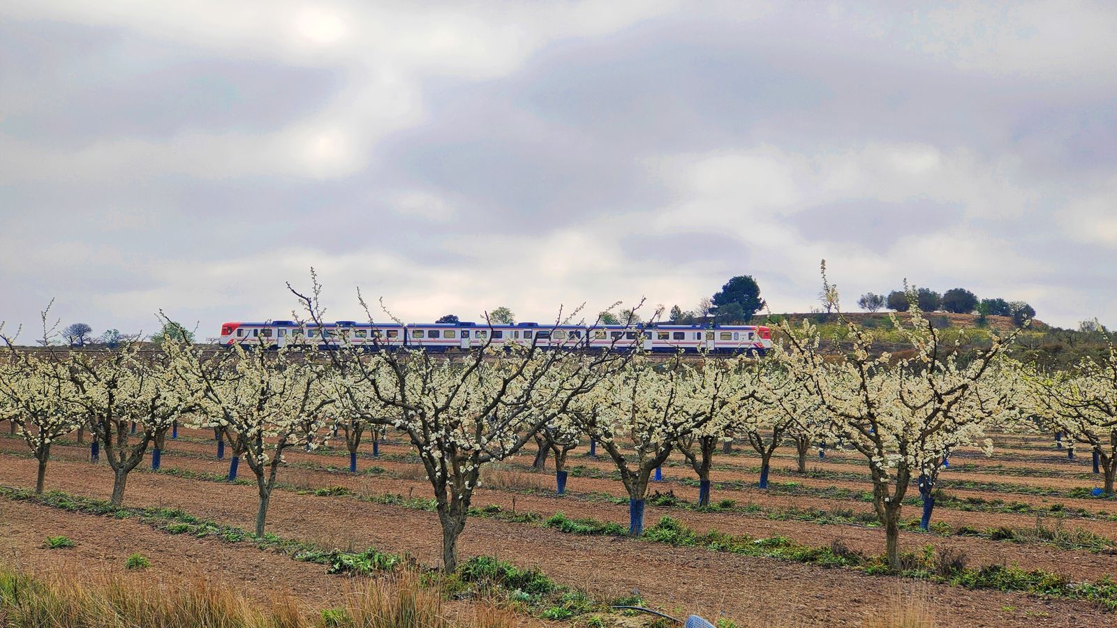 8.montaverner, la vall d'albaida, enrique javier ferri millet