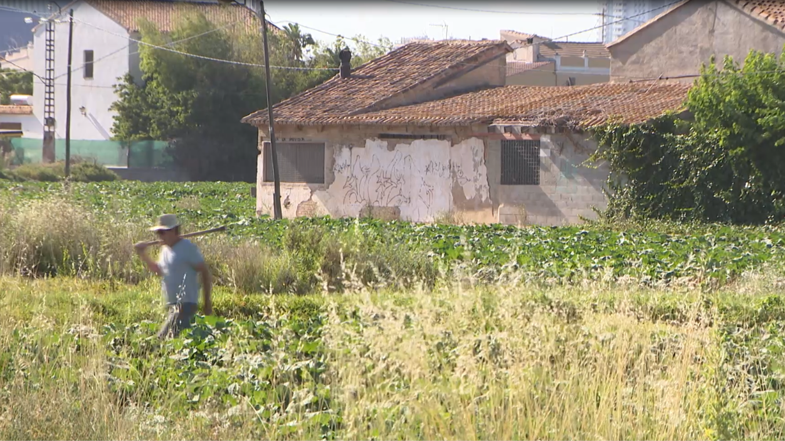 El Consell canviarà la llei de l\'horta per a agilitar la recuperació de terrenys i edificacions degradats
