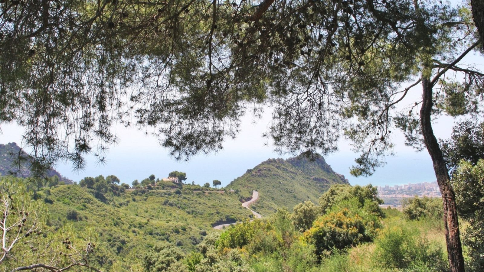 La Generalitat adquireix 178 hectàrees del Desert de les Palmes per 1,8 milions d’euros