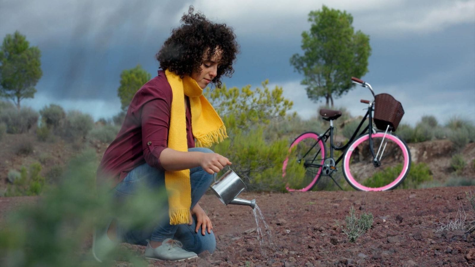 Baobabs de prejudicis